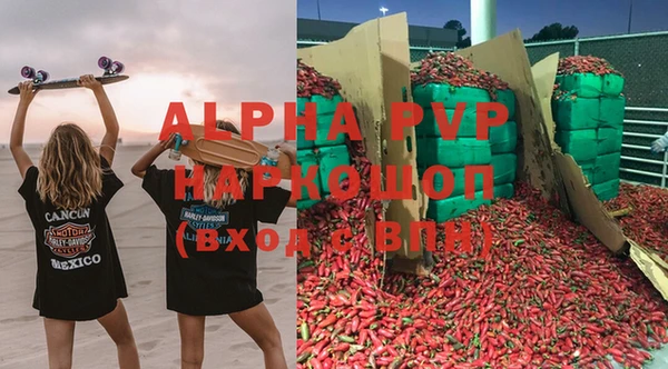 крисы Березники
