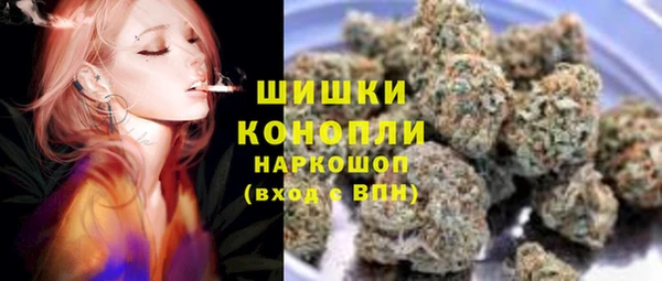 крисы Березники